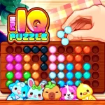 Fun IQ Puzzle