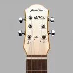 Guitar Ukulele And Banjo Tuner