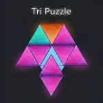 Can you cover the shape in Tri Puzzle?