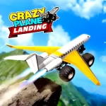 Crazy Plane Landing